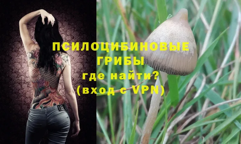 Галлюциногенные грибы Magic Shrooms  гидра вход  Волгоград 