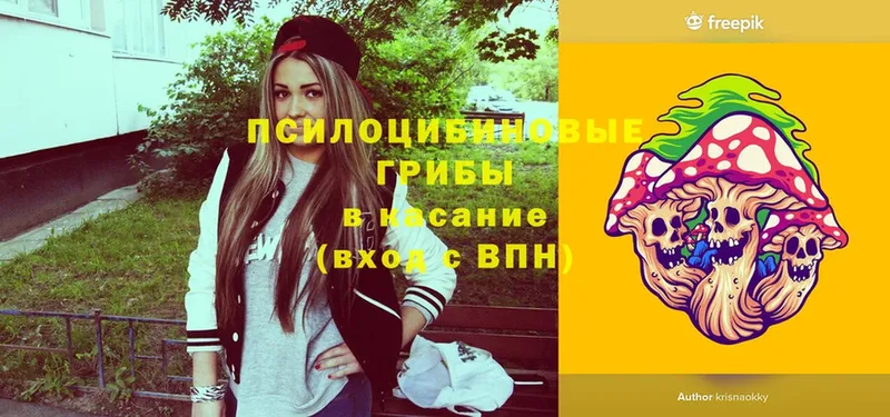 Псилоцибиновые грибы Cubensis Волгоград